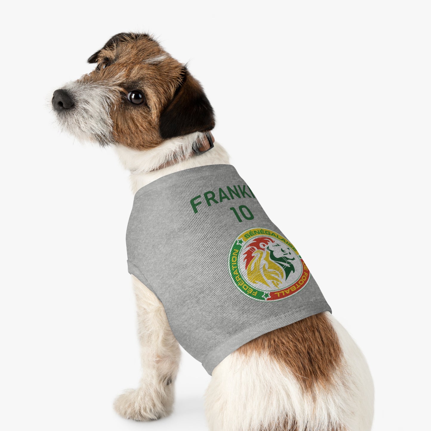 Customizable World Cup Pet Top — Team Senegal