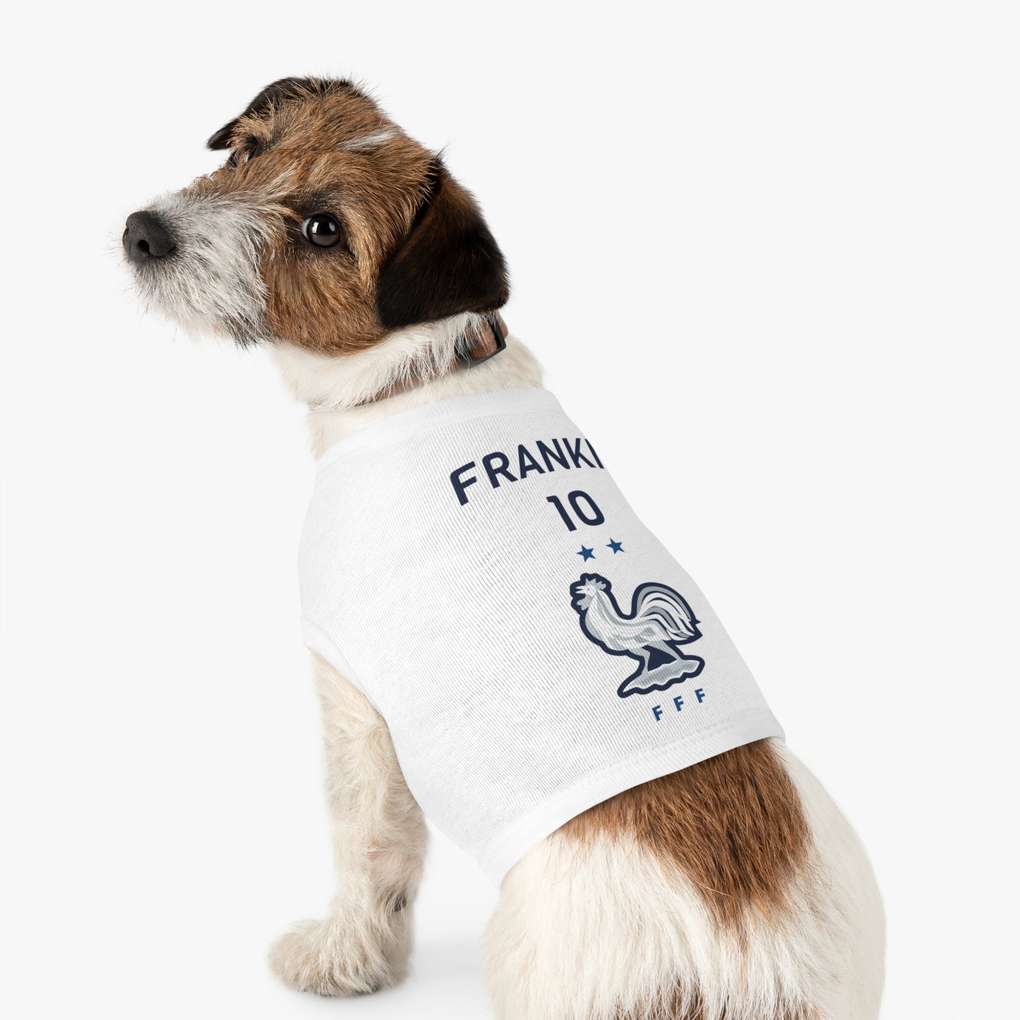 Customizable World Cup Pet Top — Team France