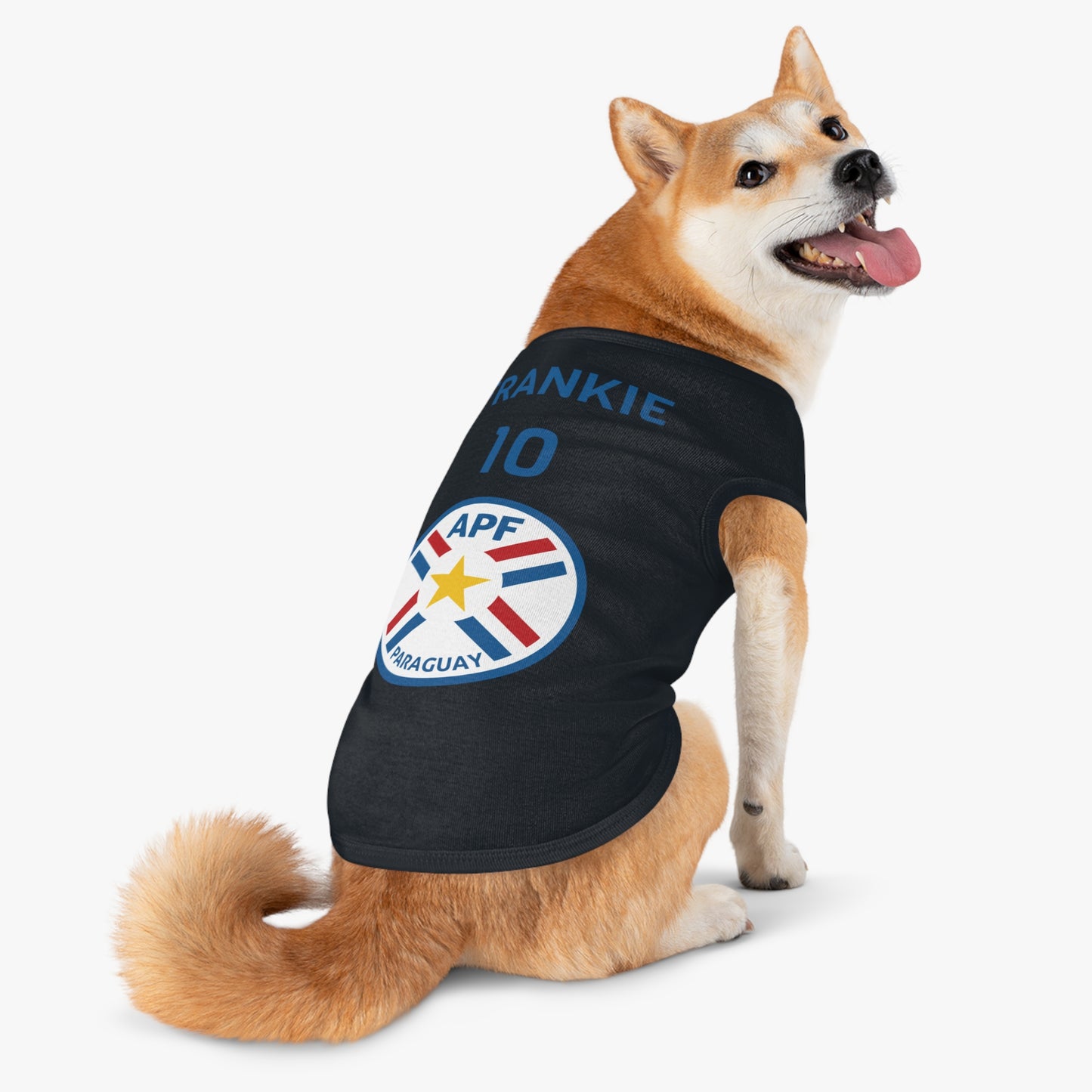 Customizable World Cup Pet Top — Team Paraguay
