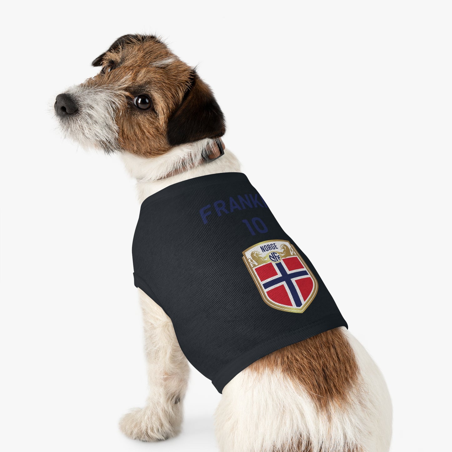 Customizable World Cup Pet Top — Team Norway