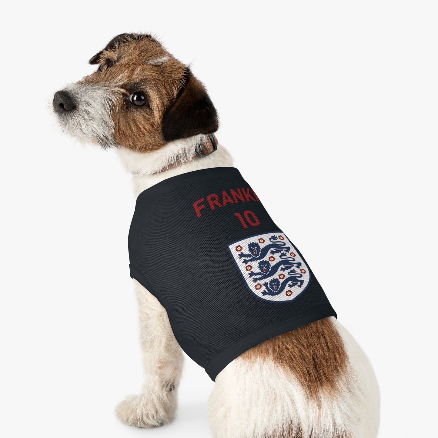Customizable World Cup Pet Top — Team England