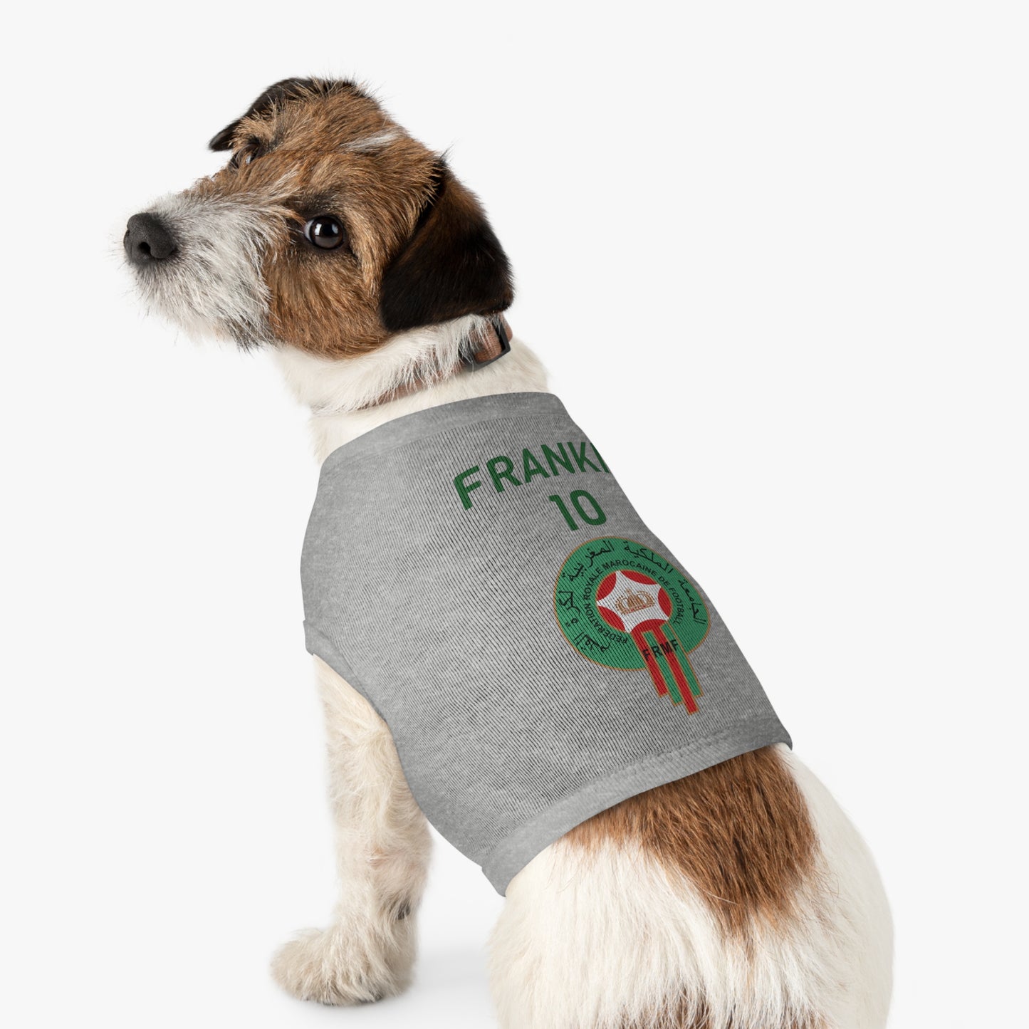 Customizable World Cup Pet Top — Team Morocco